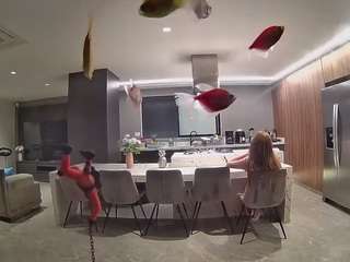 voyeurcam-casa-salsa-fishtank