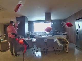 voyeurcam-casa-salsa-fishtank