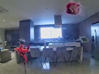 voyeurcam-casa-salsa-fishtank