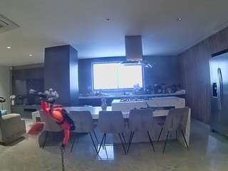 voyeurcam-casa-salsa-fishtank