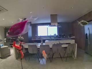 voyeurcam-casa-salsa-fishtank