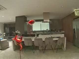 voyeurcam-casa-salsa-fishtank
