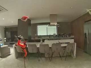 voyeurcam-casa-salsa-fishtank