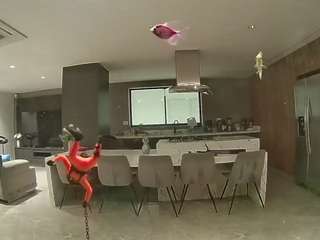 voyeurcam-casa-salsa-fishtank