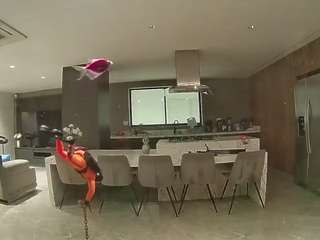 voyeurcam-casa-salsa-fishtank