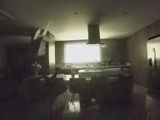 voyeurcam-casa-salsa-fishtank