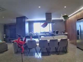 voyeurcam-casa-salsa-fishtank