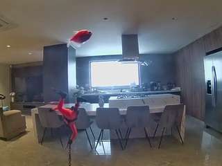 voyeurcam-casa-salsa-fishtank