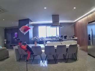 voyeurcam-casa-salsa-fishtank