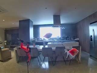 voyeurcam-casa-salsa-fishtank