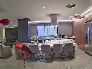voyeurcam-casa-salsa-fishtank