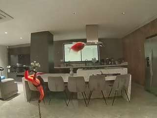 voyeurcam-casa-salsa-fishtank