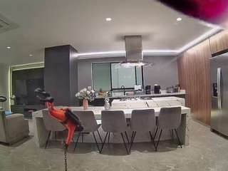 voyeurcam-casa-salsa-fishtank