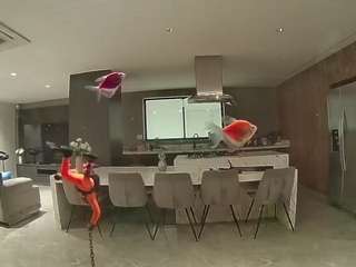 voyeurcam-casa-salsa-fishtank