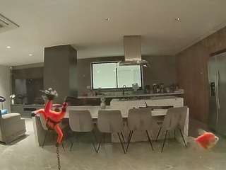 voyeurcam-casa-salsa-fishtank