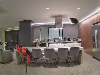 voyeurcam-casa-salsa-fishtank