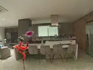 voyeurcam-casa-salsa-fishtank