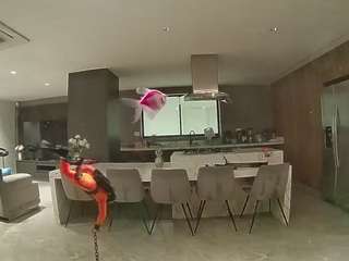 voyeurcam-casa-salsa-fishtank