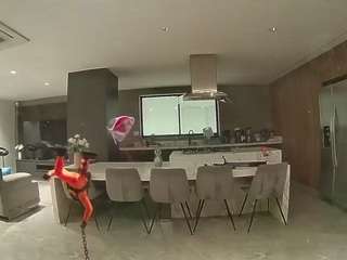 voyeurcam-casa-salsa-fishtank