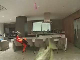 voyeurcam-casa-salsa-fishtank