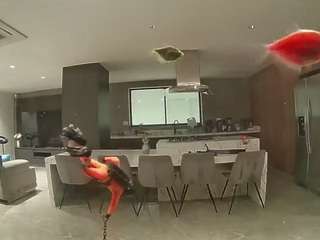 voyeurcam-casa-salsa-fishtank