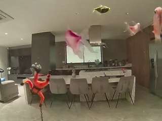 voyeurcam-casa-salsa-fishtank