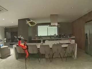 voyeurcam-casa-salsa-fishtank