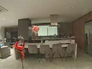voyeurcam-casa-salsa-fishtank