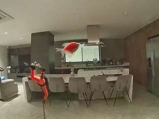 voyeurcam-casa-salsa-fishtank