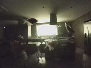 voyeurcam-casa-salsa-fishtank