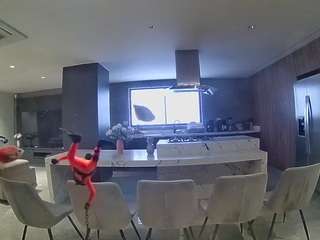voyeurcam-casa-salsa-fishtank