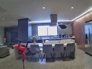 voyeurcam-casa-salsa-fishtank