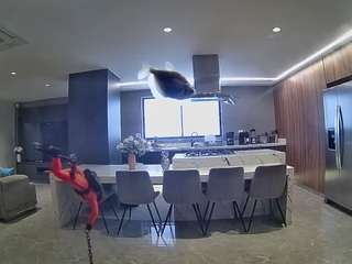 voyeurcam-casa-salsa-fishtank