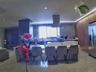 voyeurcam-casa-salsa-fishtank