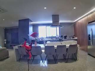 voyeurcam-casa-salsa-fishtank
