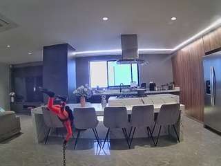 voyeurcam-casa-salsa-fishtank