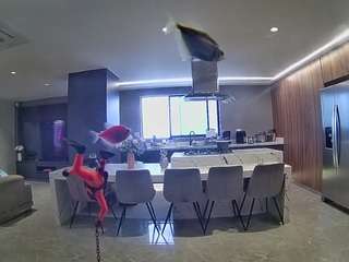 voyeurcam-casa-salsa-fishtank