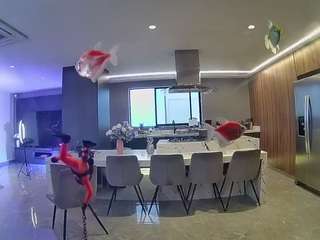 voyeurcam-casa-salsa-fishtank