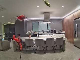voyeurcam-casa-salsa-fishtank
