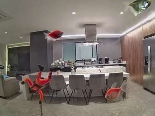 voyeurcam-casa-salsa-fishtank