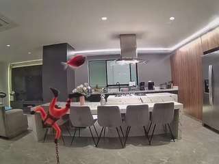 voyeurcam-casa-salsa-fishtank