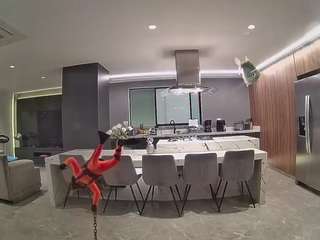 voyeurcam-casa-salsa-fishtank