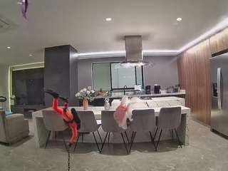voyeurcam-casa-salsa-fishtank