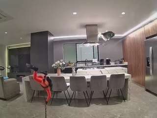voyeurcam-casa-salsa-fishtank