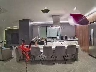 voyeurcam-casa-salsa-fishtank