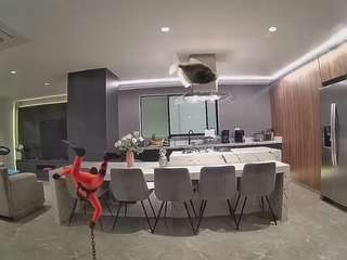 voyeurcam-casa-salsa-fishtank