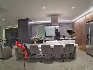 voyeurcam-casa-salsa-fishtank