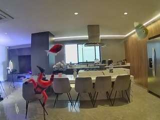 voyeurcam-casa-salsa-fishtank