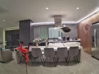 voyeurcam-casa-salsa-fishtank