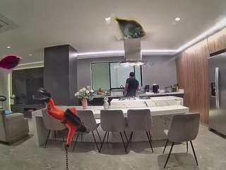 voyeurcam-casa-salsa-fishtank